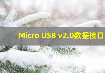 Micro USB v2.0数据接口